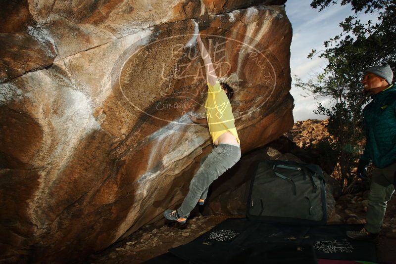 Bouldering in Hueco Tanks on 12/02/2018 with Blue Lizard Climbing and Yoga

Filename: SRM_20181202_1649280.jpg
Aperture: f/7.1
Shutter Speed: 1/250
Body: Canon EOS-1D Mark II
Lens: Canon EF 16-35mm f/2.8 L