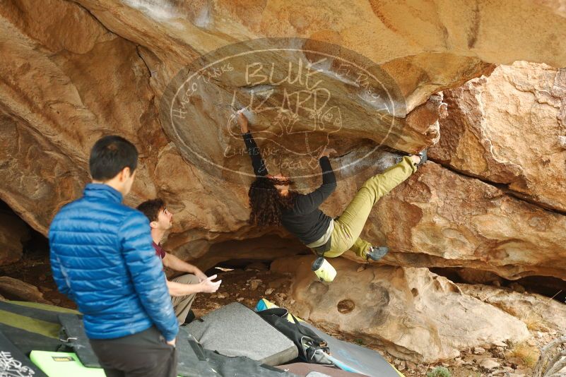 Bouldering in Hueco Tanks on 12/08/2018 with Blue Lizard Climbing and Yoga

Filename: SRM_20181208_1426400.jpg
Aperture: f/3.5
Shutter Speed: 1/250
Body: Canon EOS-1D Mark II
Lens: Canon EF 50mm f/1.8 II