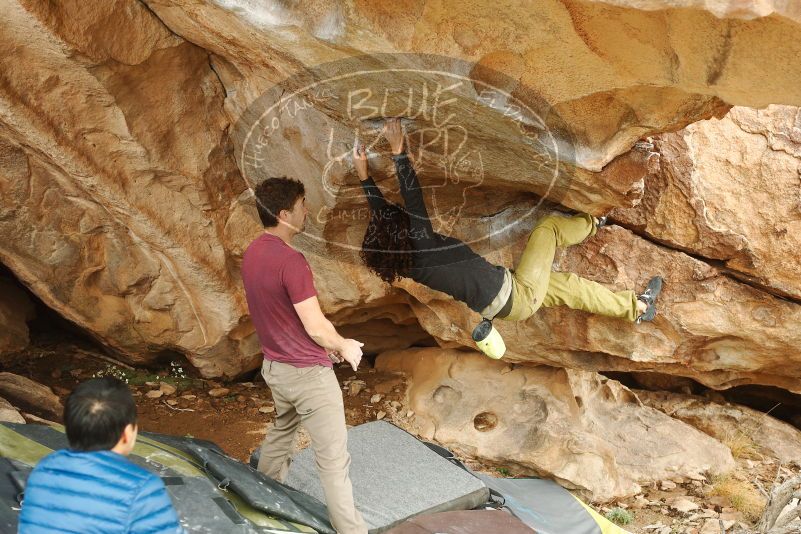 Bouldering in Hueco Tanks on 12/08/2018 with Blue Lizard Climbing and Yoga

Filename: SRM_20181208_1437130.jpg
Aperture: f/4.0
Shutter Speed: 1/250
Body: Canon EOS-1D Mark II
Lens: Canon EF 50mm f/1.8 II