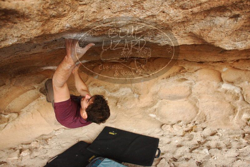 Bouldering in Hueco Tanks on 12/08/2018 with Blue Lizard Climbing and Yoga

Filename: SRM_20181208_1624440.jpg
Aperture: f/4.5
Shutter Speed: 1/250
Body: Canon EOS-1D Mark II
Lens: Canon EF 16-35mm f/2.8 L