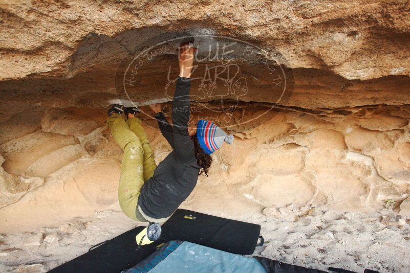 Bouldering in Hueco Tanks on 12/08/2018 with Blue Lizard Climbing and Yoga

Filename: SRM_20181208_1633050.jpg
Aperture: f/4.5
Shutter Speed: 1/250
Body: Canon EOS-1D Mark II
Lens: Canon EF 16-35mm f/2.8 L