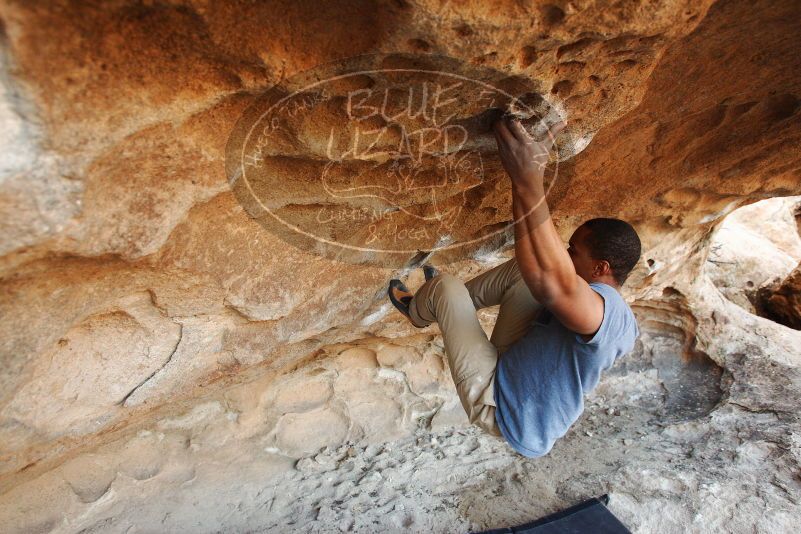 Bouldering in Hueco Tanks on 12/08/2018 with Blue Lizard Climbing and Yoga

Filename: SRM_20181208_1701170.jpg
Aperture: f/4.0
Shutter Speed: 1/250
Body: Canon EOS-1D Mark II
Lens: Canon EF 16-35mm f/2.8 L