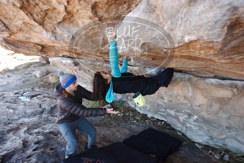 Bouldering in Hueco Tanks on 12/09/2018 with Blue Lizard Climbing and Yoga

Filename: SRM_20181209_1138390.jpg
Aperture: f/4.0
Shutter Speed: 1/250
Body: Canon EOS-1D Mark II
Lens: Canon EF 16-35mm f/2.8 L