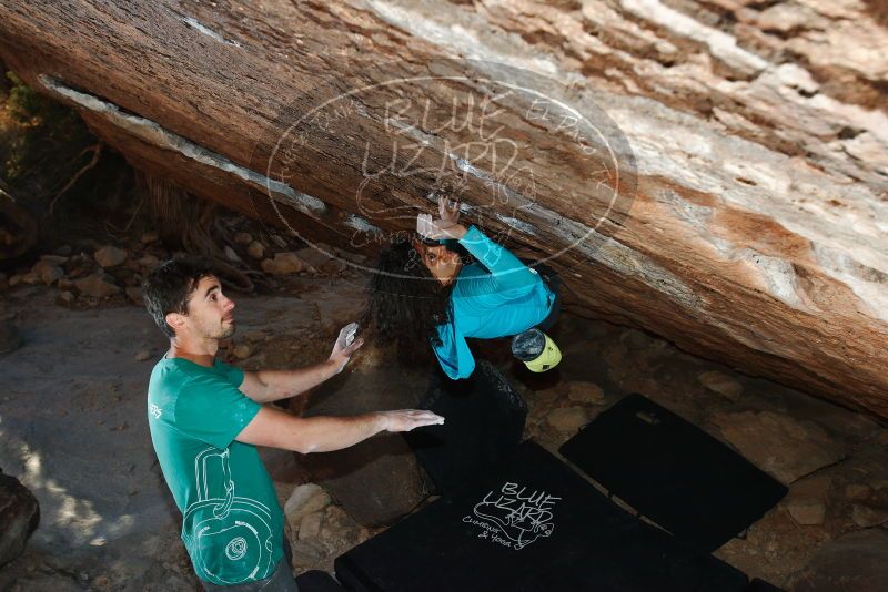 Bouldering in Hueco Tanks on 12/09/2018 with Blue Lizard Climbing and Yoga

Filename: SRM_20181209_1713160.jpg
Aperture: f/5.6
Shutter Speed: 1/250
Body: Canon EOS-1D Mark II
Lens: Canon EF 16-35mm f/2.8 L