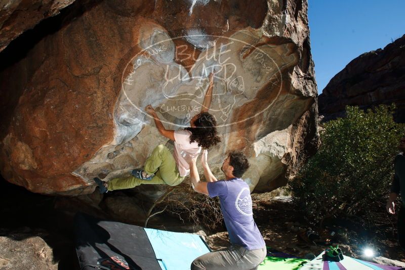 Bouldering in Hueco Tanks on 12/14/2018 with Blue Lizard Climbing and Yoga

Filename: SRM_20181214_1217300.jpg
Aperture: f/8.0
Shutter Speed: 1/250
Body: Canon EOS-1D Mark II
Lens: Canon EF 16-35mm f/2.8 L