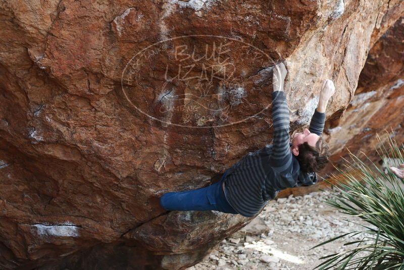 Bouldering in Hueco Tanks on 12/21/2018 with Blue Lizard Climbing and Yoga

Filename: SRM_20181221_1209290.jpg
Aperture: f/3.5
Shutter Speed: 1/320
Body: Canon EOS-1D Mark II
Lens: Canon EF 50mm f/1.8 II