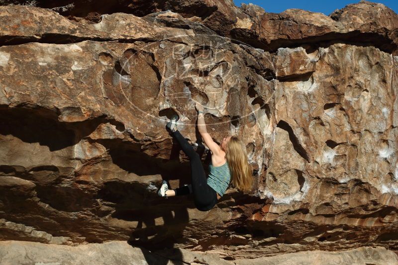 Bouldering in Hueco Tanks on 12/22/2018 with Blue Lizard Climbing and Yoga

Filename: SRM_20181222_1028260.jpg
Aperture: f/4.0
Shutter Speed: 1/1000
Body: Canon EOS-1D Mark II
Lens: Canon EF 50mm f/1.8 II