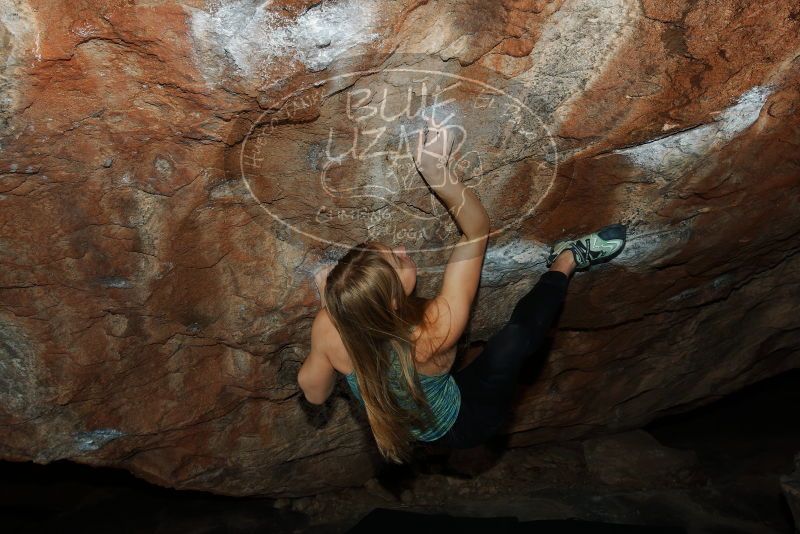 Bouldering in Hueco Tanks on 12/22/2018 with Blue Lizard Climbing and Yoga

Filename: SRM_20181222_1152150.jpg
Aperture: f/8.0
Shutter Speed: 1/250
Body: Canon EOS-1D Mark II
Lens: Canon EF 16-35mm f/2.8 L