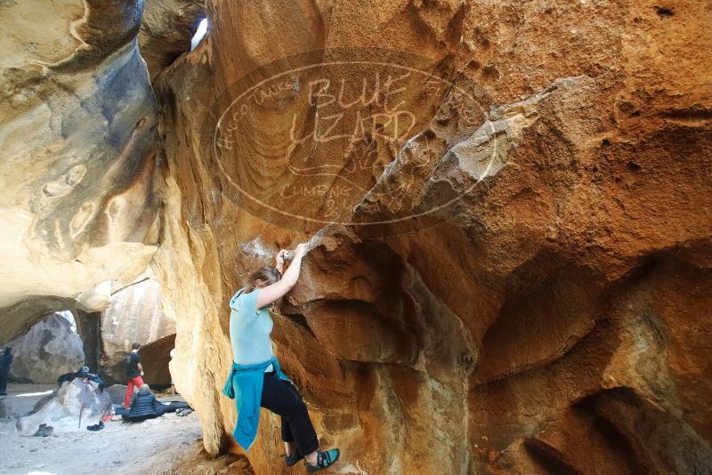 Bouldering in Hueco Tanks on 12/22/2018 with Blue Lizard Climbing and Yoga

Filename: SRM_20181222_1448480.jpg
Aperture: f/4.0
Shutter Speed: 1/100
Body: Canon EOS-1D Mark II
Lens: Canon EF 16-35mm f/2.8 L