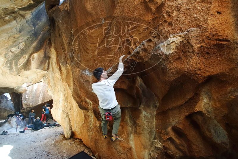 Bouldering in Hueco Tanks on 12/22/2018 with Blue Lizard Climbing and Yoga

Filename: SRM_20181222_1449190.jpg
Aperture: f/4.0
Shutter Speed: 1/125
Body: Canon EOS-1D Mark II
Lens: Canon EF 16-35mm f/2.8 L