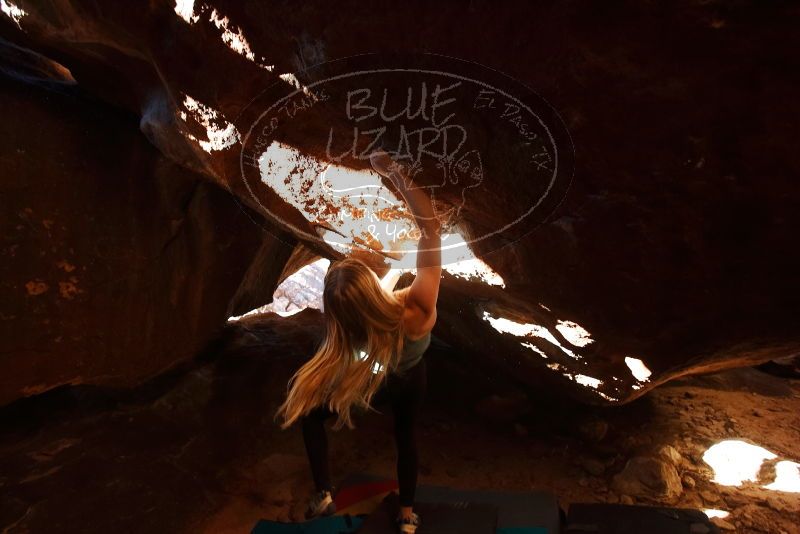 Bouldering in Hueco Tanks on 12/22/2018 with Blue Lizard Climbing and Yoga

Filename: SRM_20181222_1502140.jpg
Aperture: f/4.0
Shutter Speed: 1/320
Body: Canon EOS-1D Mark II
Lens: Canon EF 16-35mm f/2.8 L