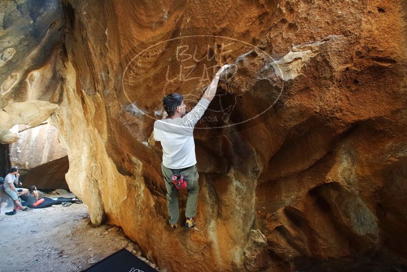 Bouldering in Hueco Tanks on 12/22/2018 with Blue Lizard Climbing and Yoga

Filename: SRM_20181222_1503000.jpg
Aperture: f/4.0
Shutter Speed: 1/100
Body: Canon EOS-1D Mark II
Lens: Canon EF 16-35mm f/2.8 L