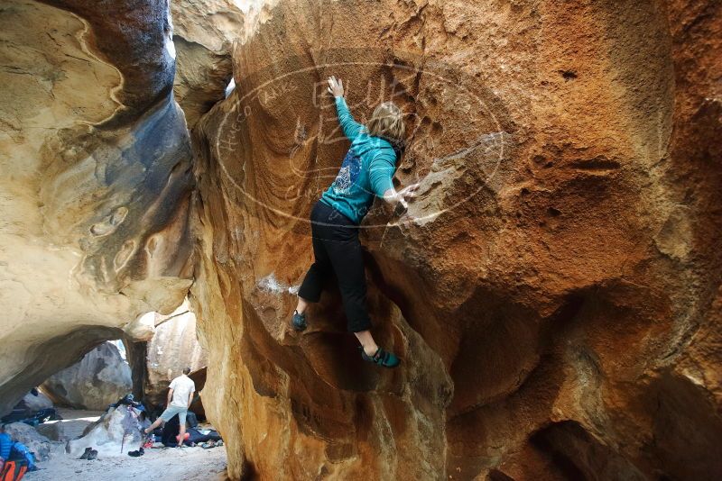 Bouldering in Hueco Tanks on 12/22/2018 with Blue Lizard Climbing and Yoga

Filename: SRM_20181222_1515030.jpg
Aperture: f/4.0
Shutter Speed: 1/100
Body: Canon EOS-1D Mark II
Lens: Canon EF 16-35mm f/2.8 L