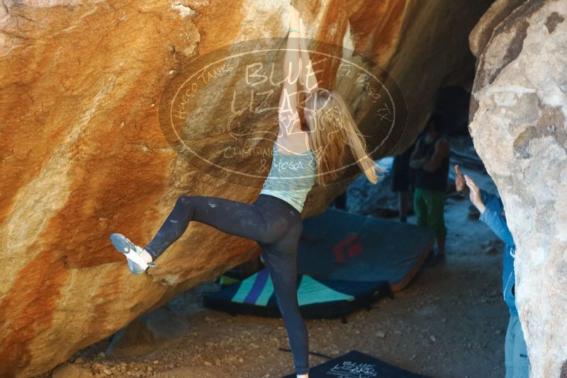 Bouldering in Hueco Tanks on 12/22/2018 with Blue Lizard Climbing and Yoga

Filename: SRM_20181222_1731200.jpg
Aperture: f/2.8
Shutter Speed: 1/320
Body: Canon EOS-1D Mark II
Lens: Canon EF 50mm f/1.8 II