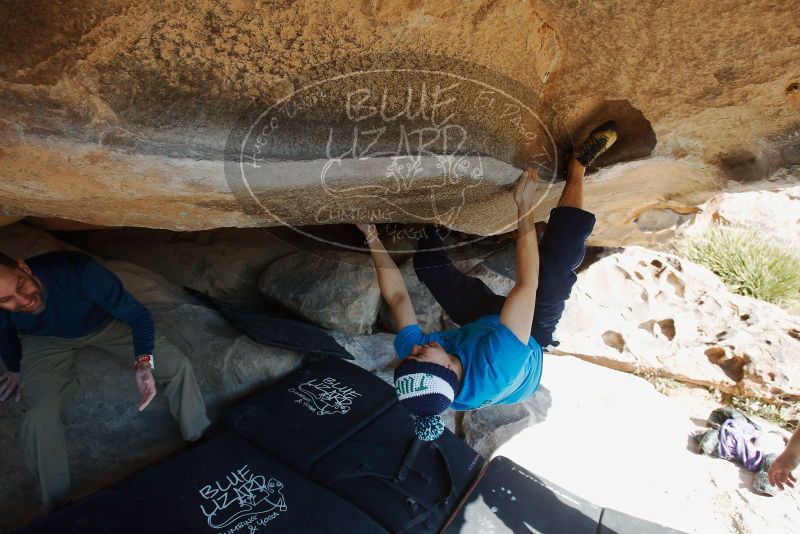 Bouldering in Hueco Tanks on 12/23/2018 with Blue Lizard Climbing and Yoga

Filename: SRM_20181223_1226110.jpg
Aperture: f/5.6
Shutter Speed: 1/320
Body: Canon EOS-1D Mark II
Lens: Canon EF 16-35mm f/2.8 L