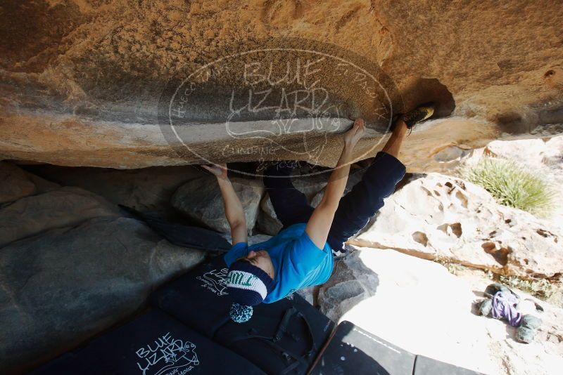 Bouldering in Hueco Tanks on 12/23/2018 with Blue Lizard Climbing and Yoga

Filename: SRM_20181223_1226130.jpg
Aperture: f/5.6
Shutter Speed: 1/400
Body: Canon EOS-1D Mark II
Lens: Canon EF 16-35mm f/2.8 L