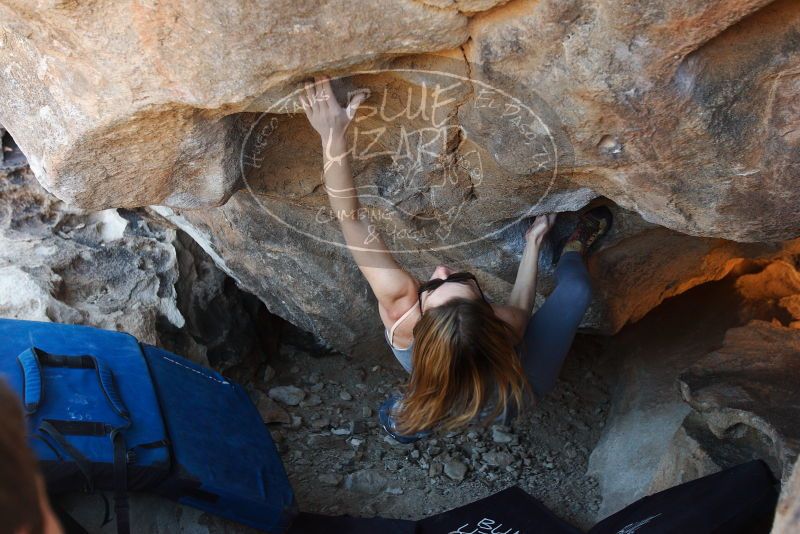 Bouldering in Hueco Tanks on 12/23/2018 with Blue Lizard Climbing and Yoga

Filename: SRM_20181223_1407410.jpg
Aperture: f/4.0
Shutter Speed: 1/320
Body: Canon EOS-1D Mark II
Lens: Canon EF 16-35mm f/2.8 L