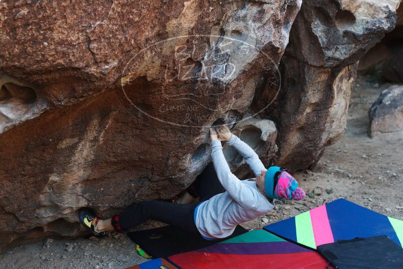 Bouldering in Hueco Tanks on 12/24/2018 with Blue Lizard Climbing and Yoga

Filename: SRM_20181224_1028030.jpg
Aperture: f/4.0
Shutter Speed: 1/320
Body: Canon EOS-1D Mark II
Lens: Canon EF 50mm f/1.8 II