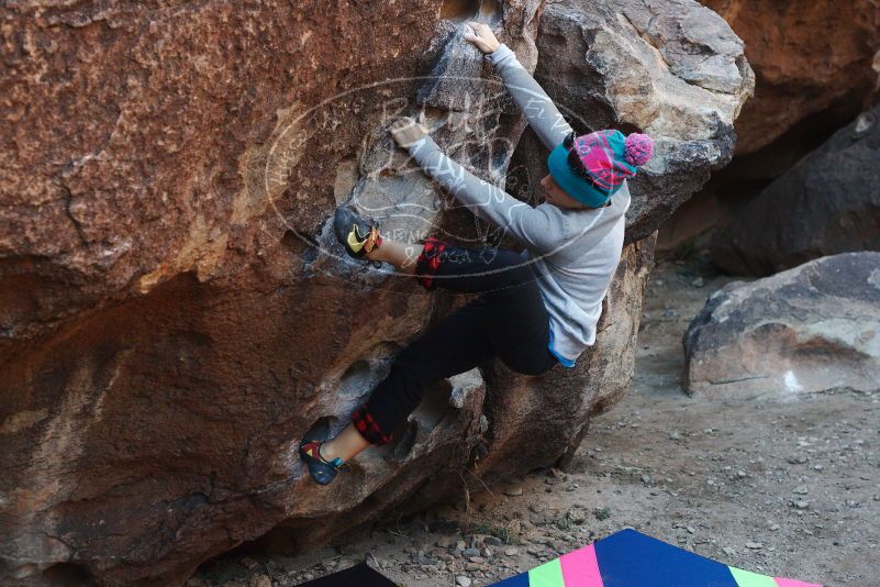 Bouldering in Hueco Tanks on 12/24/2018 with Blue Lizard Climbing and Yoga

Filename: SRM_20181224_1028160.jpg
Aperture: f/4.0
Shutter Speed: 1/320
Body: Canon EOS-1D Mark II
Lens: Canon EF 50mm f/1.8 II