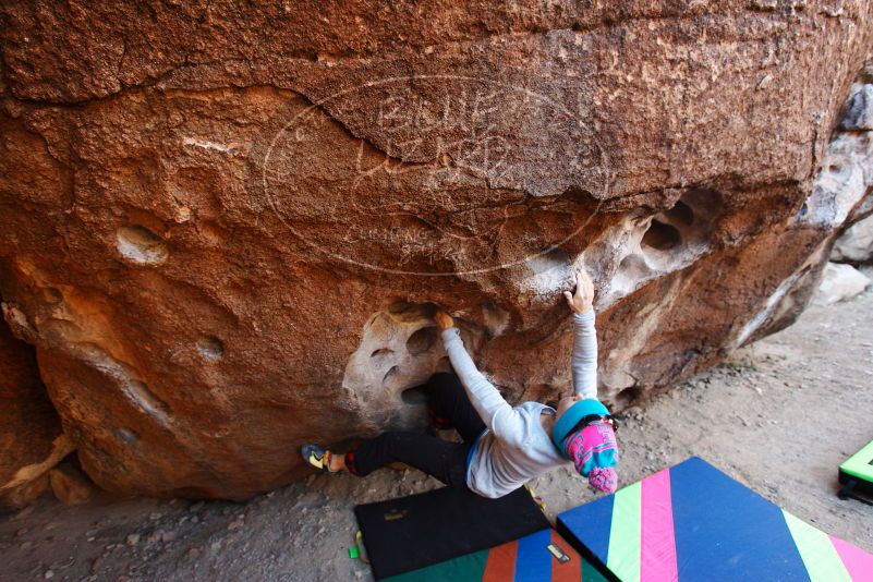 Bouldering in Hueco Tanks on 12/24/2018 with Blue Lizard Climbing and Yoga

Filename: SRM_20181224_1037360.jpg
Aperture: f/4.0
Shutter Speed: 1/160
Body: Canon EOS-1D Mark II
Lens: Canon EF 16-35mm f/2.8 L