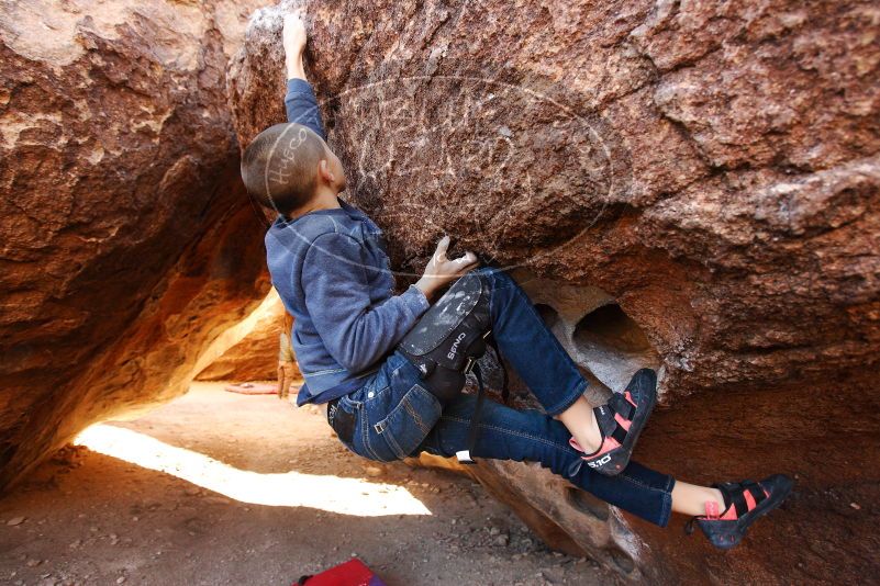 Bouldering in Hueco Tanks on 12/24/2018 with Blue Lizard Climbing and Yoga

Filename: SRM_20181224_1039190.jpg
Aperture: f/4.0
Shutter Speed: 1/160
Body: Canon EOS-1D Mark II
Lens: Canon EF 16-35mm f/2.8 L