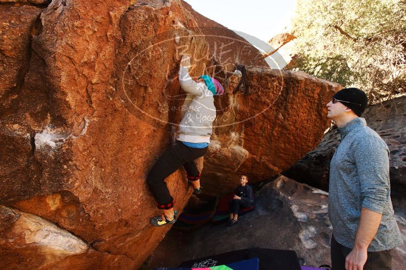 Bouldering in Hueco Tanks on 12/24/2018 with Blue Lizard Climbing and Yoga

Filename: SRM_20181224_1058340.jpg
Aperture: f/5.6
Shutter Speed: 1/320
Body: Canon EOS-1D Mark II
Lens: Canon EF 16-35mm f/2.8 L