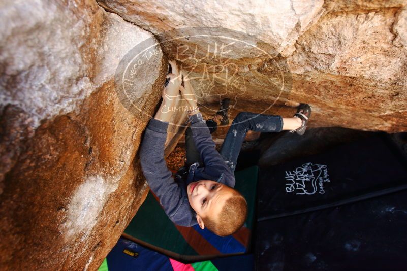 Bouldering in Hueco Tanks on 12/24/2018 with Blue Lizard Climbing and Yoga

Filename: SRM_20181224_1110120.jpg
Aperture: f/4.5
Shutter Speed: 1/125
Body: Canon EOS-1D Mark II
Lens: Canon EF 16-35mm f/2.8 L