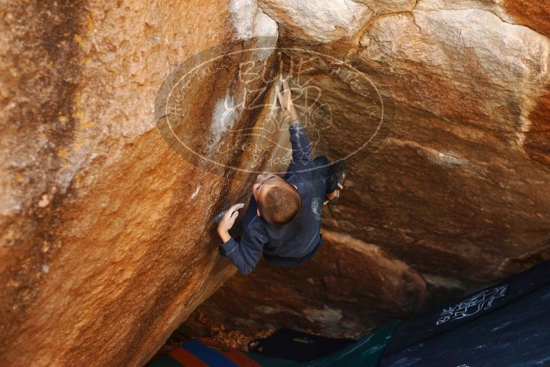 Bouldering in Hueco Tanks on 12/24/2018 with Blue Lizard Climbing and Yoga

Filename: SRM_20181224_1118430.jpg
Aperture: f/2.8
Shutter Speed: 1/320
Body: Canon EOS-1D Mark II
Lens: Canon EF 50mm f/1.8 II