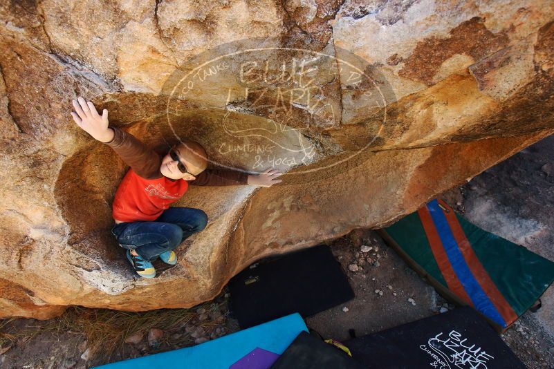 Bouldering in Hueco Tanks on 12/24/2018 with Blue Lizard Climbing and Yoga

Filename: SRM_20181224_1139110.jpg
Aperture: f/5.6
Shutter Speed: 1/160
Body: Canon EOS-1D Mark II
Lens: Canon EF 16-35mm f/2.8 L