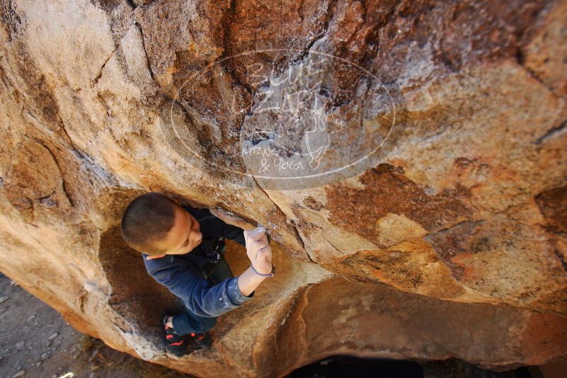 Bouldering in Hueco Tanks on 12/24/2018 with Blue Lizard Climbing and Yoga

Filename: SRM_20181224_1140010.jpg
Aperture: f/5.6
Shutter Speed: 1/200
Body: Canon EOS-1D Mark II
Lens: Canon EF 16-35mm f/2.8 L