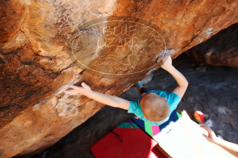 Bouldering in Hueco Tanks on 12/24/2018 with Blue Lizard Climbing and Yoga

Filename: SRM_20181224_1502311.jpg
Aperture: f/5.0
Shutter Speed: 1/400
Body: Canon EOS-1D Mark II
Lens: Canon EF 16-35mm f/2.8 L