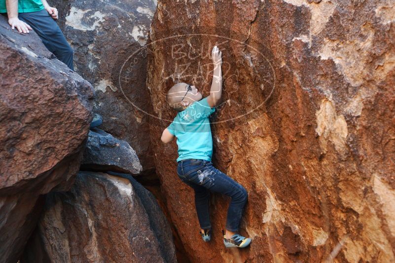 Bouldering in Hueco Tanks on 12/24/2018 with Blue Lizard Climbing and Yoga

Filename: SRM_20181224_1629090.jpg
Aperture: f/3.2
Shutter Speed: 1/200
Body: Canon EOS-1D Mark II
Lens: Canon EF 50mm f/1.8 II