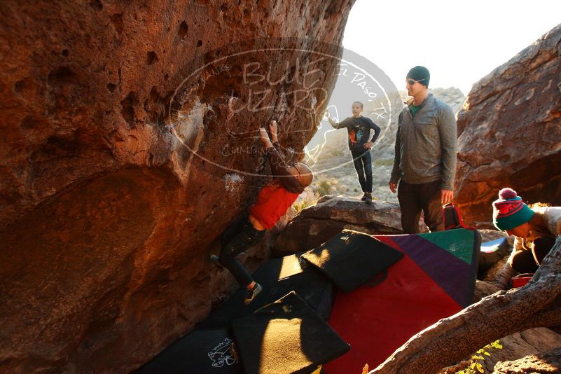 Bouldering in Hueco Tanks on 12/24/2018 with Blue Lizard Climbing and Yoga

Filename: SRM_20181224_1753240.jpg
Aperture: f/4.5
Shutter Speed: 1/200
Body: Canon EOS-1D Mark II
Lens: Canon EF 16-35mm f/2.8 L