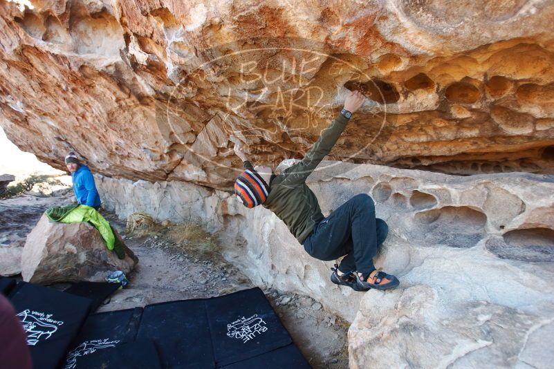 Bouldering in Hueco Tanks on 12/30/2018 with Blue Lizard Climbing and Yoga

Filename: SRM_20181230_1047510.jpg
Aperture: f/2.8
Shutter Speed: 1/250
Body: Canon EOS-1D Mark II
Lens: Canon EF 16-35mm f/2.8 L