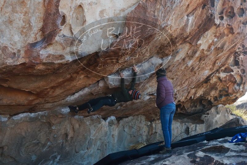 Bouldering in Hueco Tanks on 12/30/2018 with Blue Lizard Climbing and Yoga

Filename: SRM_20181230_1129490.jpg
Aperture: f/4.5
Shutter Speed: 1/400
Body: Canon EOS-1D Mark II
Lens: Canon EF 50mm f/1.8 II