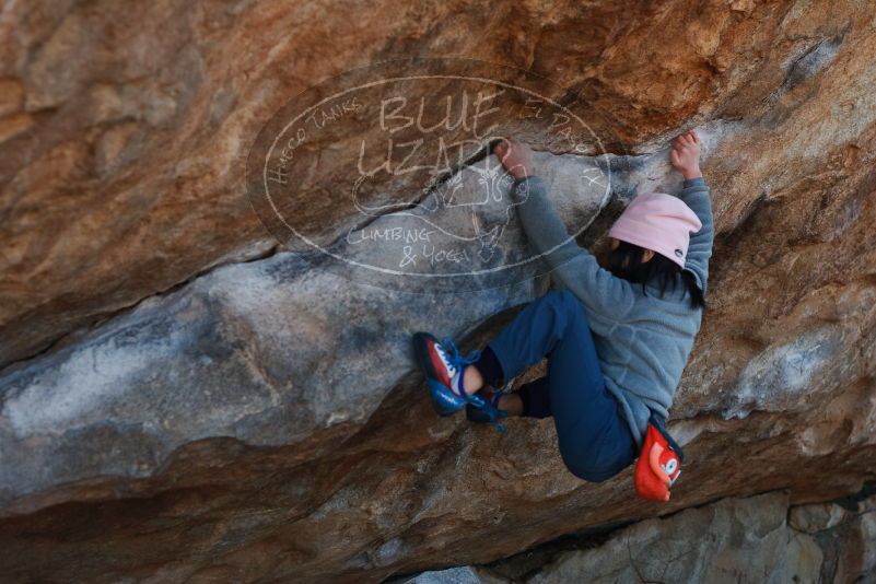 Bouldering in Hueco Tanks on 12/30/2018 with Blue Lizard Climbing and Yoga

Filename: SRM_20181230_1140480.jpg
Aperture: f/3.5
Shutter Speed: 1/400
Body: Canon EOS-1D Mark II
Lens: Canon EF 50mm f/1.8 II