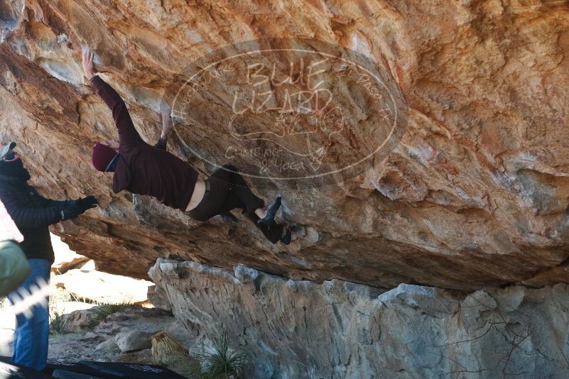 Bouldering in Hueco Tanks on 12/30/2018 with Blue Lizard Climbing and Yoga

Filename: SRM_20181230_1202130.jpg
Aperture: f/3.5
Shutter Speed: 1/320
Body: Canon EOS-1D Mark II
Lens: Canon EF 50mm f/1.8 II