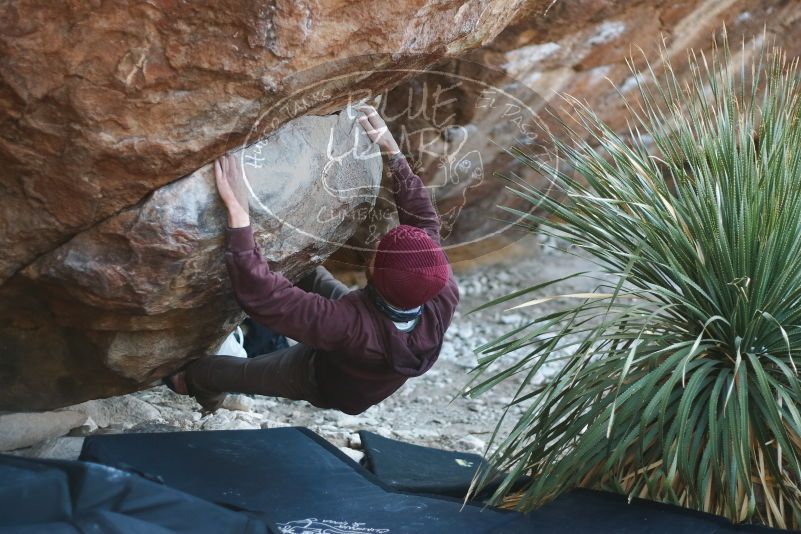 Bouldering in Hueco Tanks on 12/30/2018 with Blue Lizard Climbing and Yoga

Filename: SRM_20181230_1601330.jpg
Aperture: f/2.2
Shutter Speed: 1/400
Body: Canon EOS-1D Mark II
Lens: Canon EF 50mm f/1.8 II