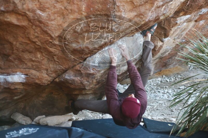 Bouldering in Hueco Tanks on 12/30/2018 with Blue Lizard Climbing and Yoga

Filename: SRM_20181230_1601390.jpg
Aperture: f/2.5
Shutter Speed: 1/250
Body: Canon EOS-1D Mark II
Lens: Canon EF 50mm f/1.8 II