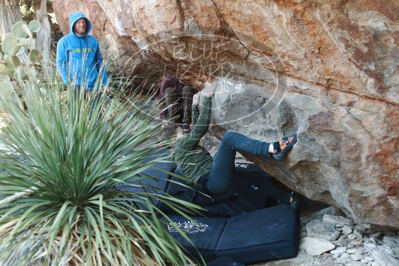 Bouldering in Hueco Tanks on 12/30/2018 with Blue Lizard Climbing and Yoga

Filename: SRM_20181230_1606450.jpg
Aperture: f/2.8
Shutter Speed: 1/250
Body: Canon EOS-1D Mark II
Lens: Canon EF 50mm f/1.8 II