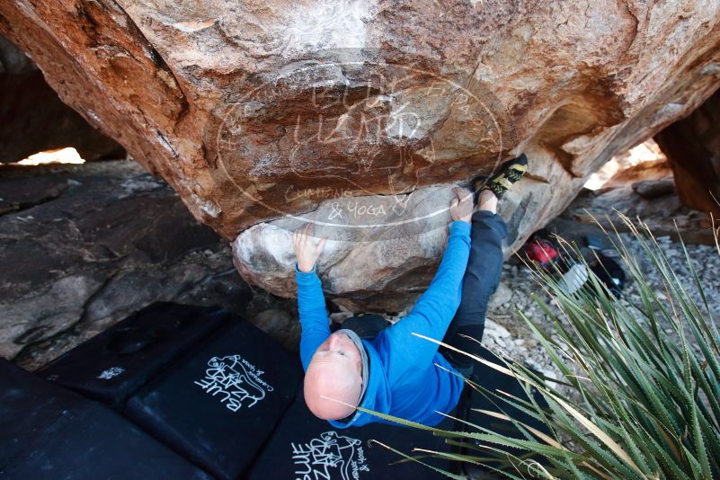 Bouldering in Hueco Tanks on 12/30/2018 with Blue Lizard Climbing and Yoga

Filename: SRM_20181230_1630210.jpg
Aperture: f/4.5
Shutter Speed: 1/250
Body: Canon EOS-1D Mark II
Lens: Canon EF 16-35mm f/2.8 L