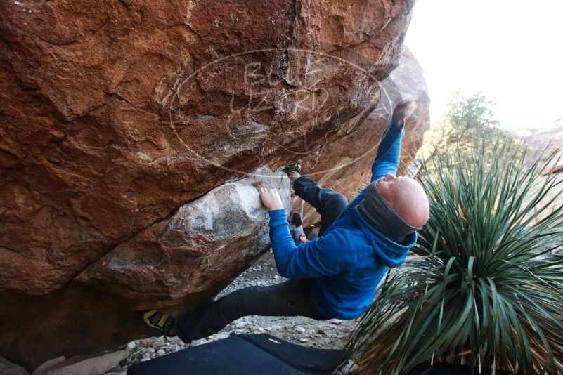 Bouldering in Hueco Tanks on 12/30/2018 with Blue Lizard Climbing and Yoga

Filename: SRM_20181230_1632300.jpg
Aperture: f/4.5
Shutter Speed: 1/250
Body: Canon EOS-1D Mark II
Lens: Canon EF 16-35mm f/2.8 L