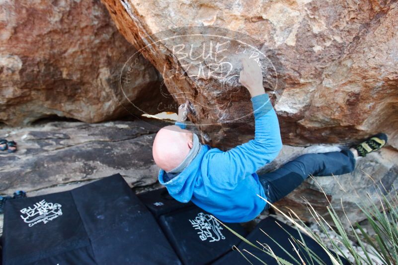 Bouldering in Hueco Tanks on 12/30/2018 with Blue Lizard Climbing and Yoga

Filename: SRM_20181230_1636260.jpg
Aperture: f/4.0
Shutter Speed: 1/250
Body: Canon EOS-1D Mark II
Lens: Canon EF 16-35mm f/2.8 L