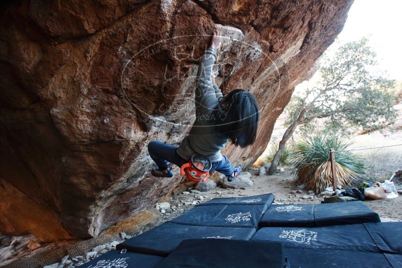 Bouldering in Hueco Tanks on 12/30/2018 with Blue Lizard Climbing and Yoga

Filename: SRM_20181230_1715070.jpg
Aperture: f/3.5
Shutter Speed: 1/200
Body: Canon EOS-1D Mark II
Lens: Canon EF 16-35mm f/2.8 L