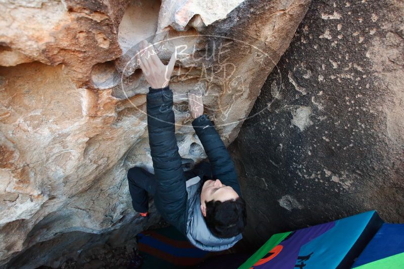 Bouldering in Hueco Tanks on 01/01/2019 with Blue Lizard Climbing and Yoga

Filename: SRM_20190101_1033090.jpg
Aperture: f/5.0
Shutter Speed: 1/200
Body: Canon EOS-1D Mark II
Lens: Canon EF 16-35mm f/2.8 L