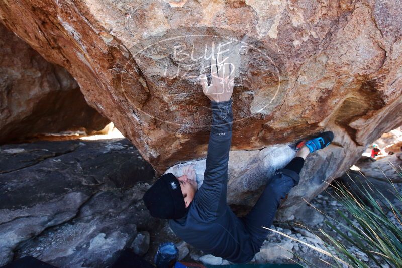 Bouldering in Hueco Tanks on 01/01/2019 with Blue Lizard Climbing and Yoga

Filename: SRM_20190101_1342160.jpg
Aperture: f/5.0
Shutter Speed: 1/250
Body: Canon EOS-1D Mark II
Lens: Canon EF 16-35mm f/2.8 L