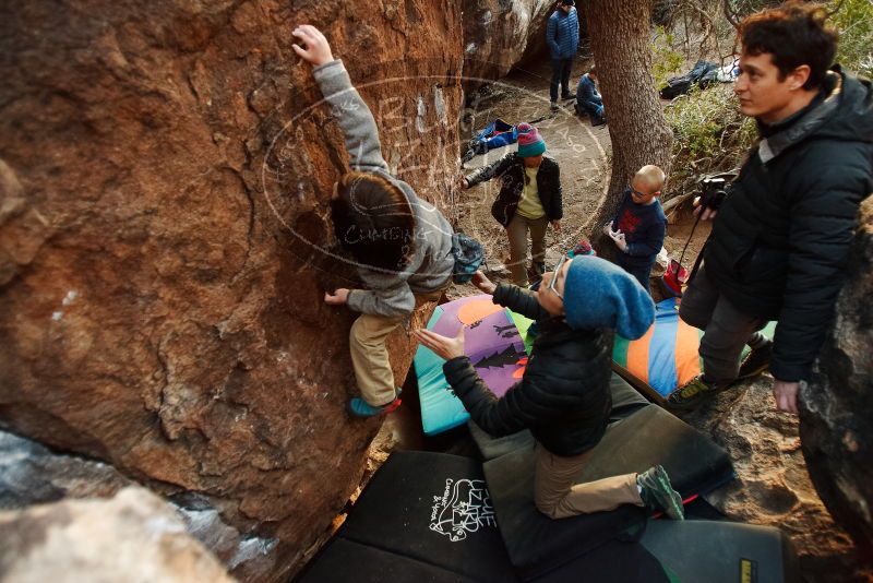 Bouldering in Hueco Tanks on 12/31/2018 with Blue Lizard Climbing and Yoga

Filename: SRM_20181231_1757520.jpg
Aperture: f/2.8
Shutter Speed: 1/125
Body: Canon EOS-1D Mark II
Lens: Canon EF 16-35mm f/2.8 L