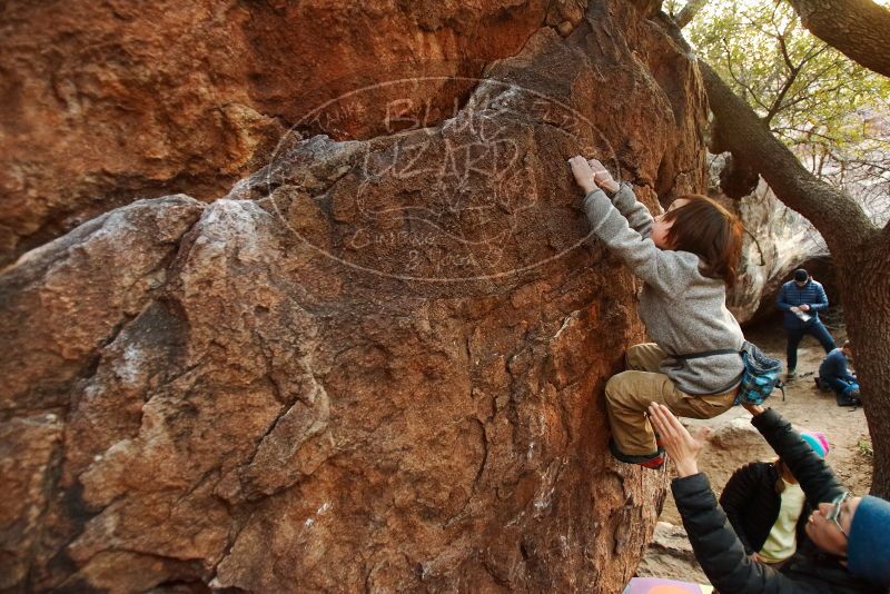 Bouldering in Hueco Tanks on 12/31/2018 with Blue Lizard Climbing and Yoga

Filename: SRM_20181231_1758110.jpg
Aperture: f/2.8
Shutter Speed: 1/100
Body: Canon EOS-1D Mark II
Lens: Canon EF 16-35mm f/2.8 L