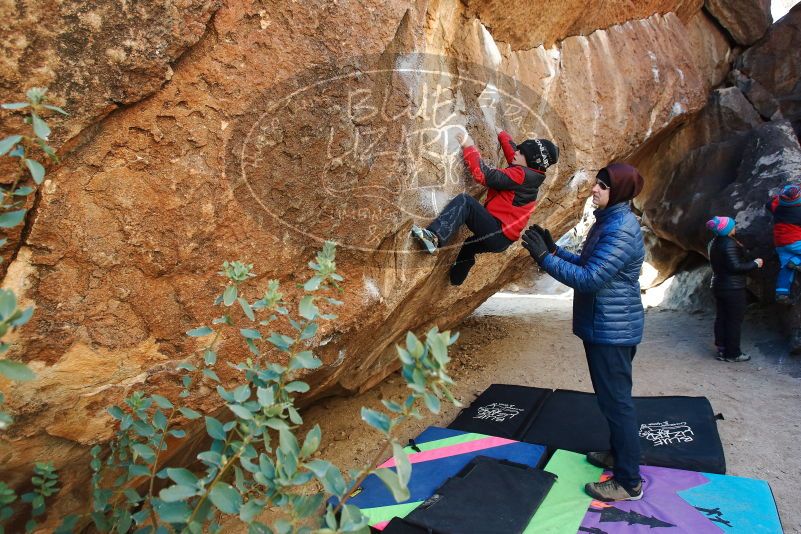 Bouldering in Hueco Tanks on 01/02/2019 with Blue Lizard Climbing and Yoga

Filename: SRM_20190102_1038100.jpg
Aperture: f/5.0
Shutter Speed: 1/250
Body: Canon EOS-1D Mark II
Lens: Canon EF 16-35mm f/2.8 L