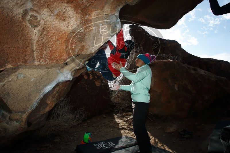 Bouldering in Hueco Tanks on 01/02/2019 with Blue Lizard Climbing and Yoga

Filename: SRM_20190102_1117390.jpg
Aperture: f/8.0
Shutter Speed: 1/250
Body: Canon EOS-1D Mark II
Lens: Canon EF 16-35mm f/2.8 L